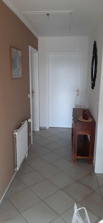 Ferienwohnung Bluetenblick Bachenbrock 外观 照片